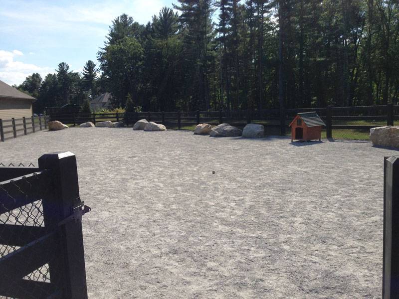 allen and major associates paddock estates dog park interior Allen