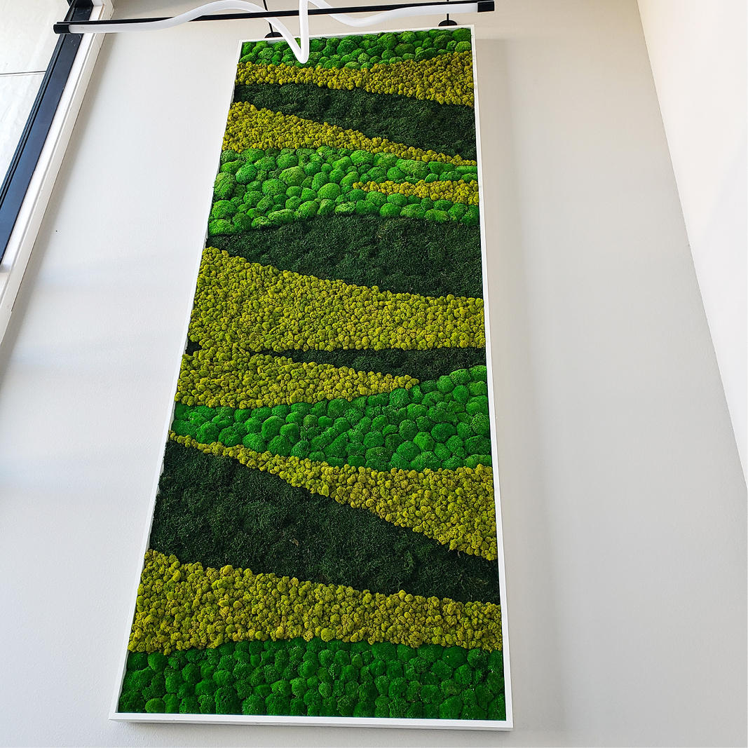 Color Block Preserved Moss Panel