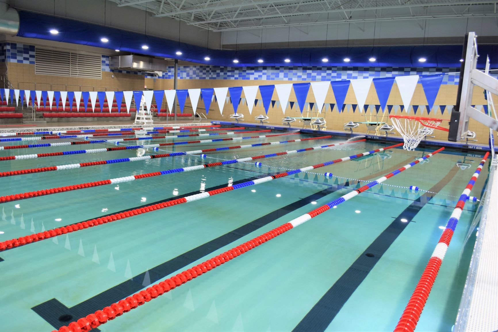 Swimming Competition Events Near Me