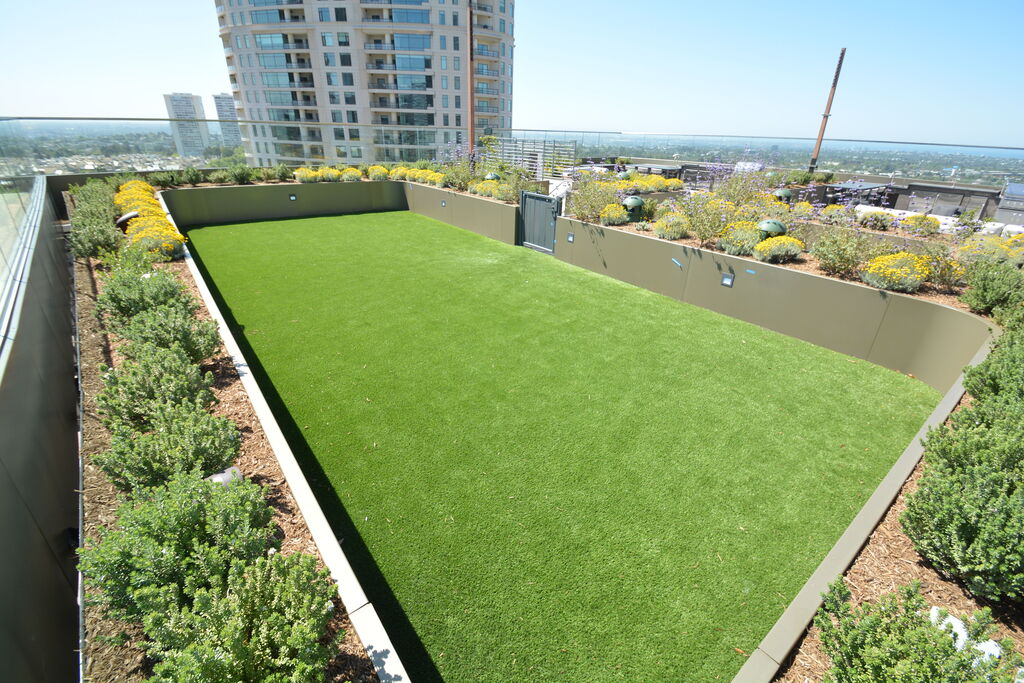 DSC 6309, Century Plaza Hotel | Los Angeles, CA featuring products from Tile Tech Pavers | DSC 6309