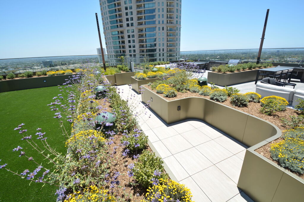 DSC 6525, Century Plaza Hotel | Los Angeles, CA featuring products from Tile Tech Pavers | DSC 6525