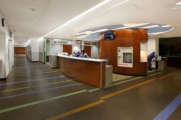 MOUNTAIN VIEW EMERGENCY DEPARTMENT, professional, Incorporating a local nature-themed palette, we tackled the goal of