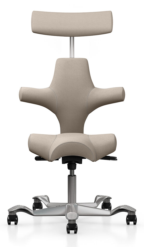 HÅG Capisco with headrest 9to5 Seating