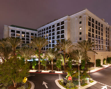 IMG 9368, A powerful but compact floodlight projector, BULLETTO MINI fixtures were installed with our standard Tree Strap