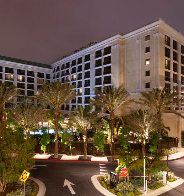 IMG 9368, A powerful but compact floodlight projector, BULLETTO MINI fixtures were installed with our standard Tree Strap