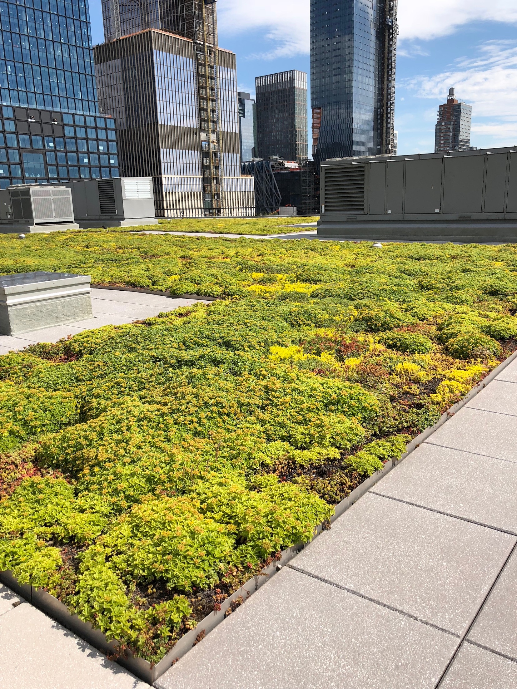 Javits Convention Center Chatfield Green Roofing