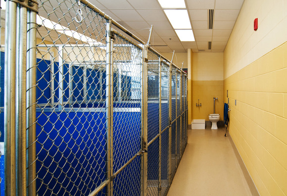 Jt Egner Construction Project Photos Products Lakeville Mn Mortarr