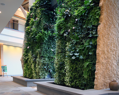 mccaren designs building interior Feynman Center, Greenwall, McCaren Designs can make any custom green wall into a work of