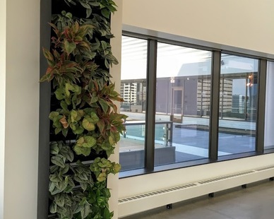 mccaren designs building interior Tray System Greenwall, Greenery adds a little something to any space. Shown here is McCaren