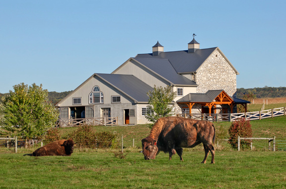 Barns, brand, These gorgeous Barns used Fabral products for the roofing and the the wall systems. The owners of these