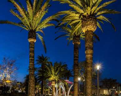 Public Space Lighting, Up to the Highest Height. The Professional single LED COB is a fully adjustable landscape in-ground