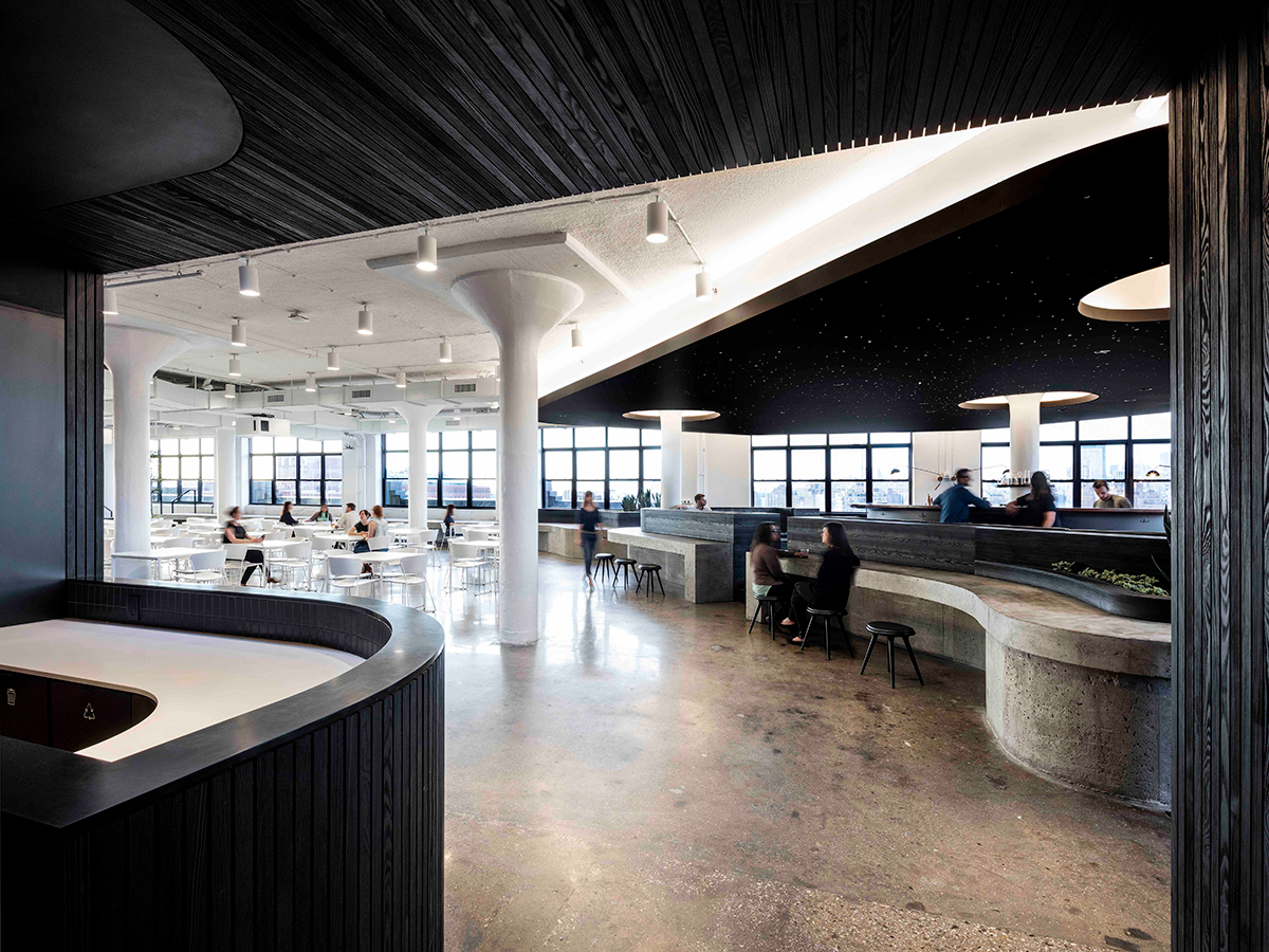 Pure + FreeForm Squarespace Breakroom Design Torsion Spring Ceiling