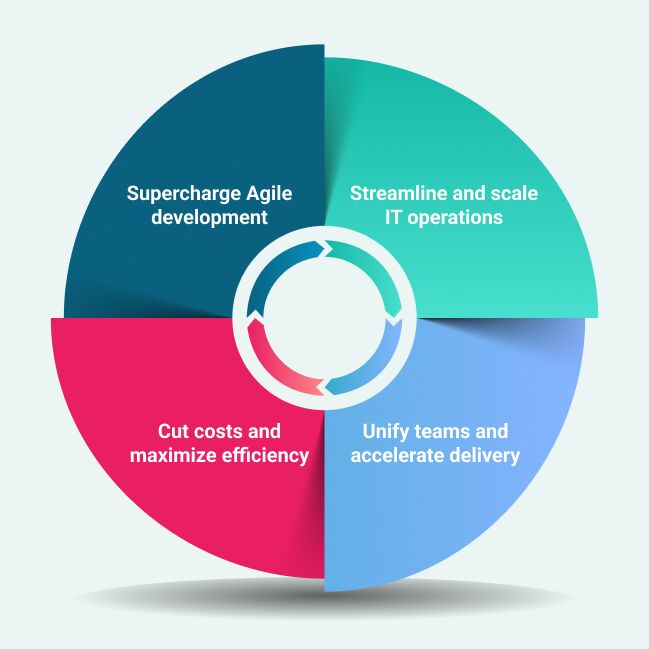 Radus Software, professional