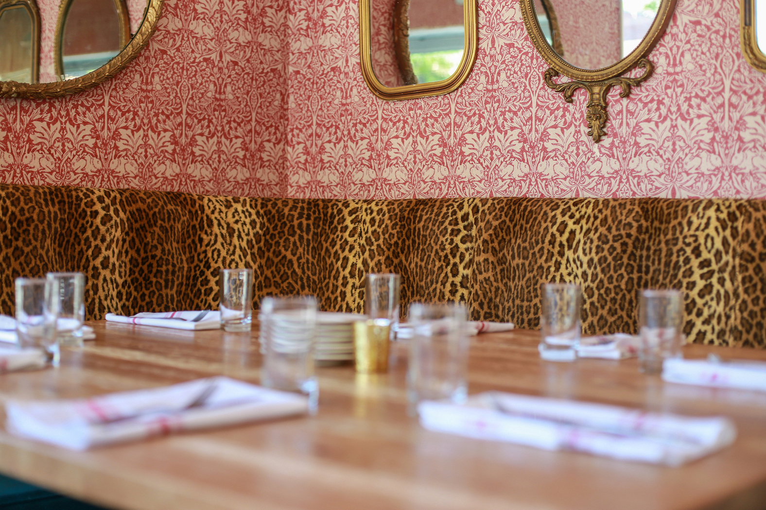 Red Sauce Rebellion Dering Pierson Group LLC