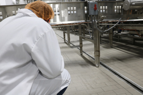 Pre-Sloped Trench Drain Installation Valley Queen Cheese Factory, brand, Sanitary drains are an essential part of any