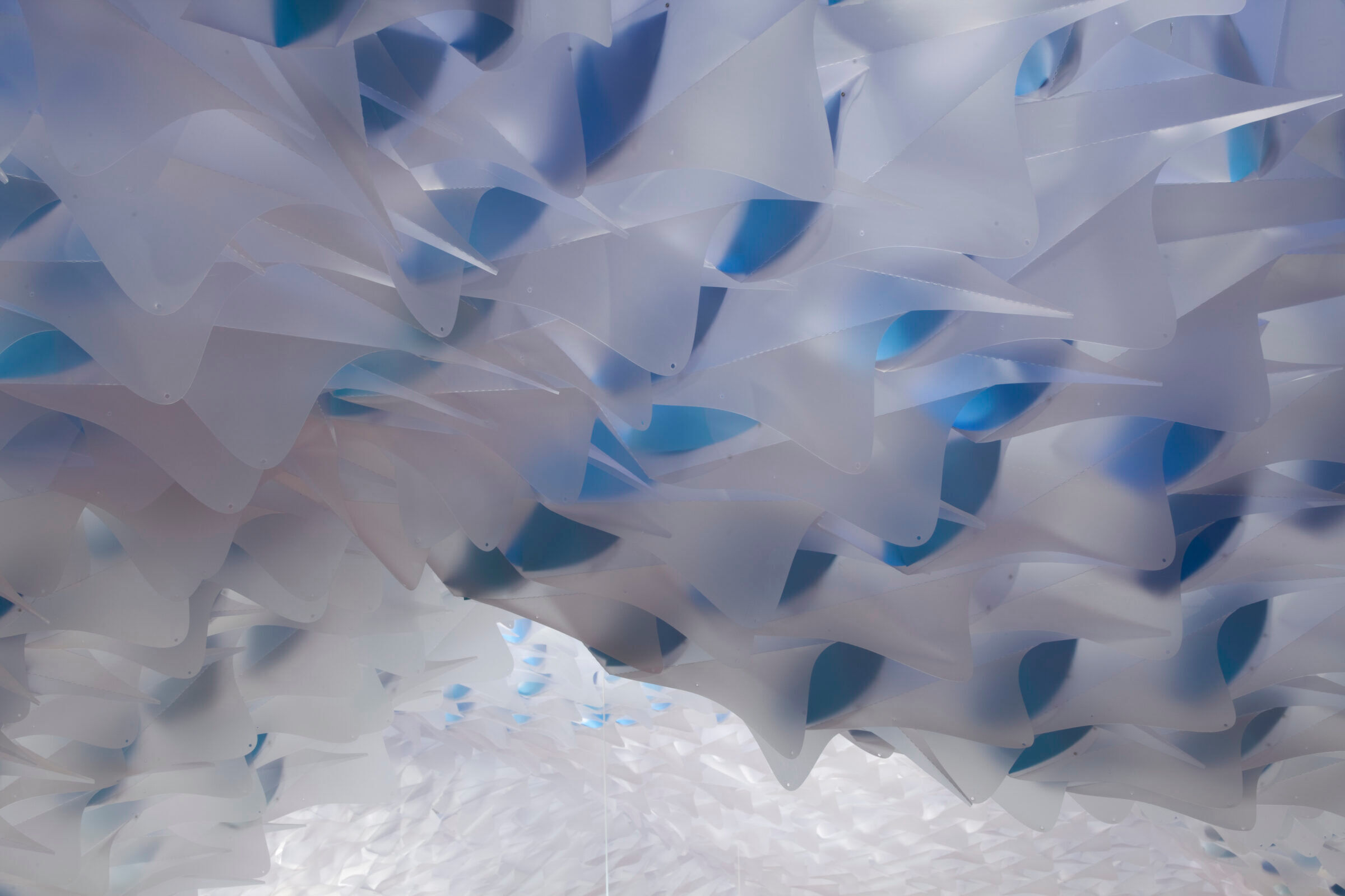 Half the Sky Vertebrae Art + Architecture